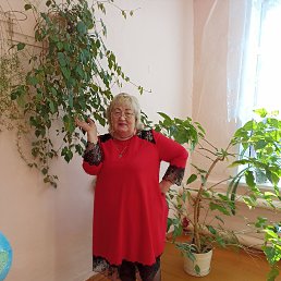 , 62, 