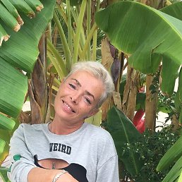 �����, ������������