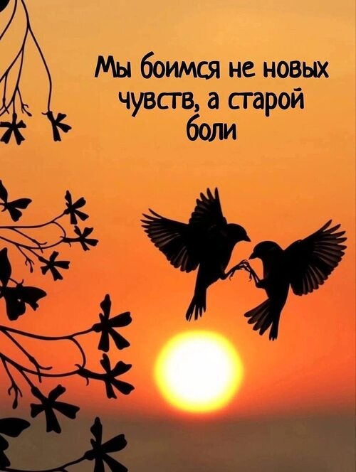 Всё будет хорошо! - 8 августа 2025 в 12:59