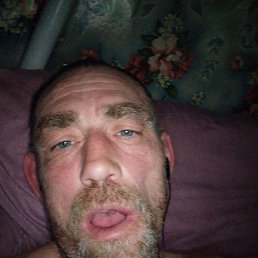 ����, 40 ���, ������