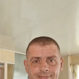 , 41, 