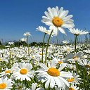 ���� � ��� �, �����������, 59 ��� - ��������� 20 ����� 2024