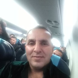 , 54, 