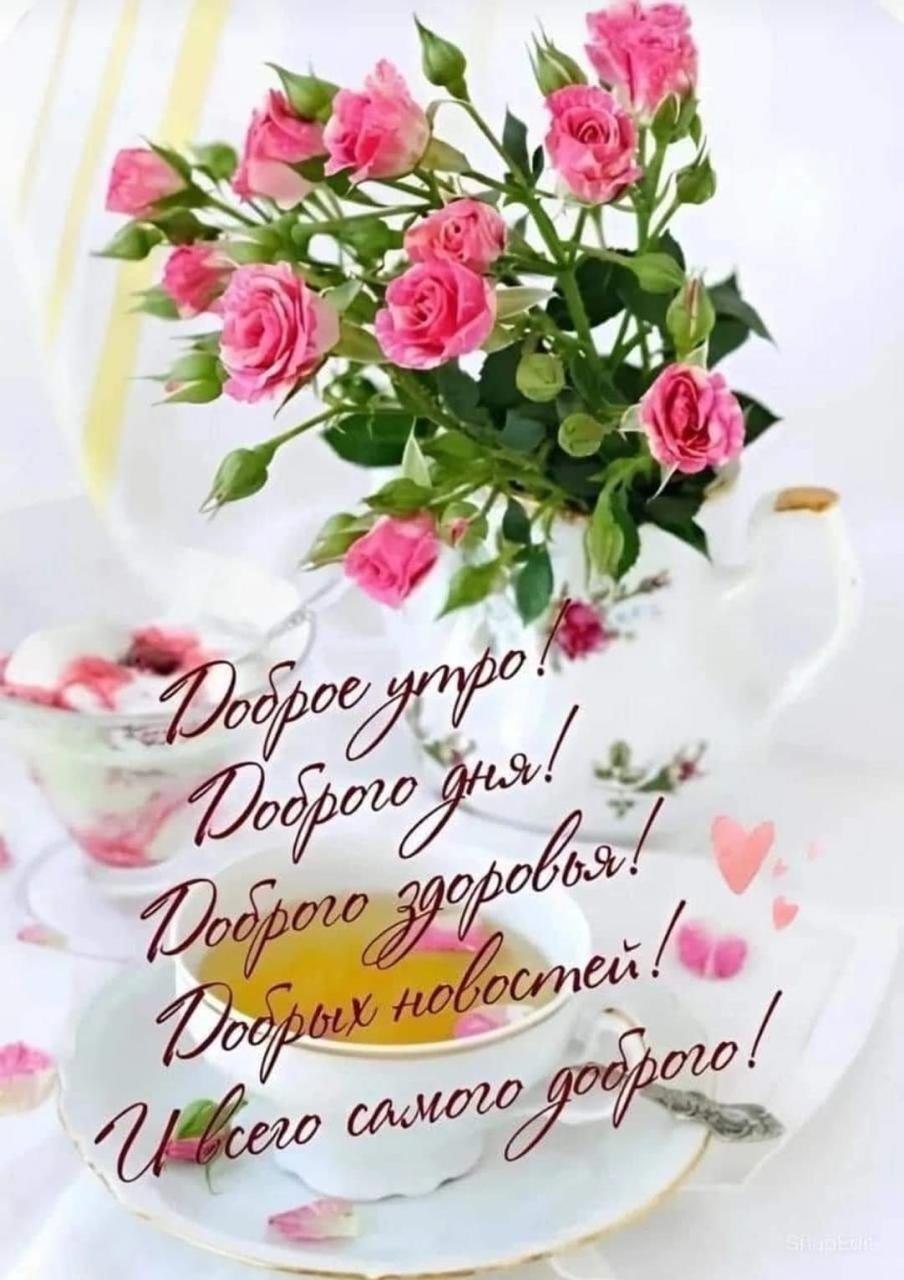 ***Victoria Viktorovna*** - 9  2025  10:16 - 2