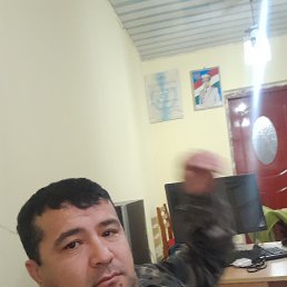  , -, 39  -  10  2024