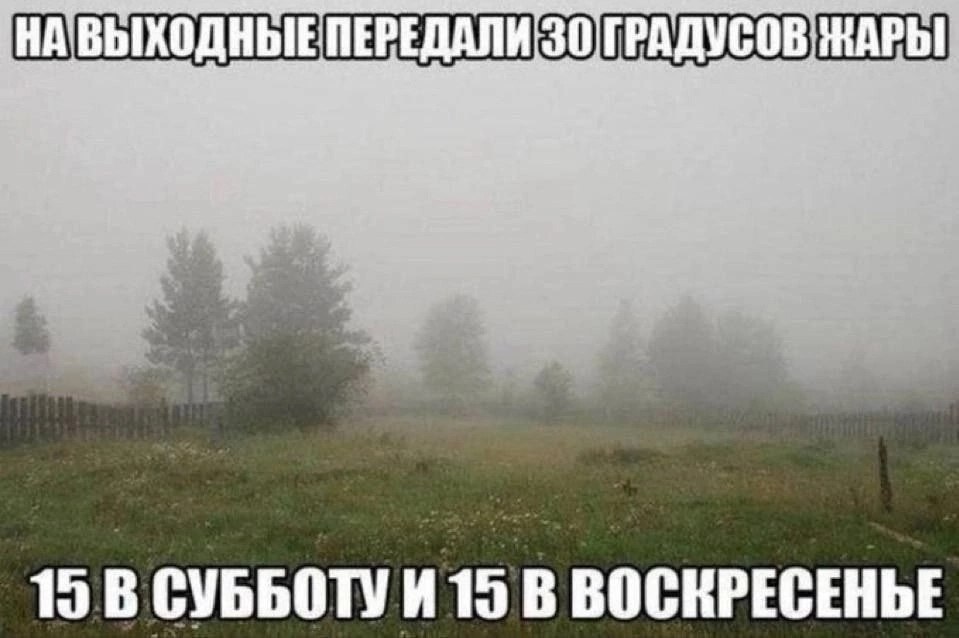  - 12  2025  06:15