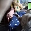 ���� ������ � ������, ������, 52 ���� - ��������� 19 ������� 2025 � ������ ���� ����������