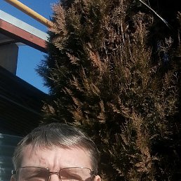 ���� �����, ������, 55 ��� - ��������� 13 ����� 2026