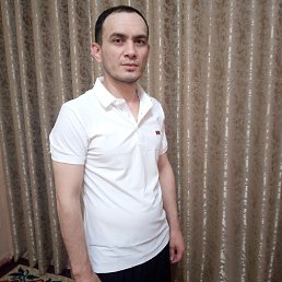 , 34, 