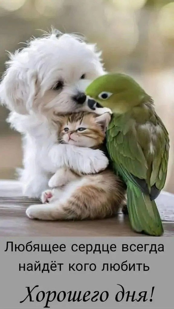 �������� ���!