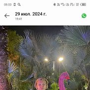 , 43 , 