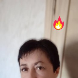 , 44, 