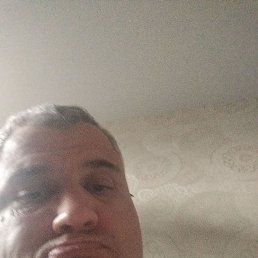 , 37, 