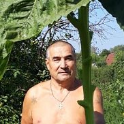 ����, 58 ���, ������