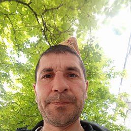 ������, 46 ���, ������