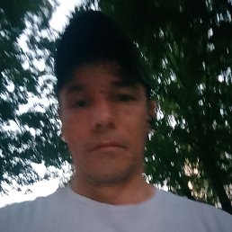 , 44, 