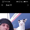 ���� ���������, �����-��������, 34 ���� - ��������� 26 ��� 2026 � ������ ���� ����������