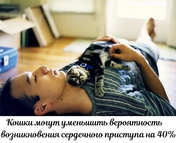 ��� ���� � ����� �� �� - 8 ��� 2026 � 12:55 - 4