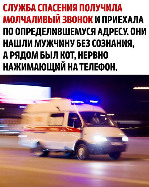 �� ��� ���� �������� ����� - 3
