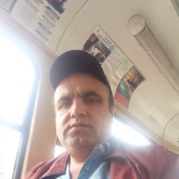 , 41, 