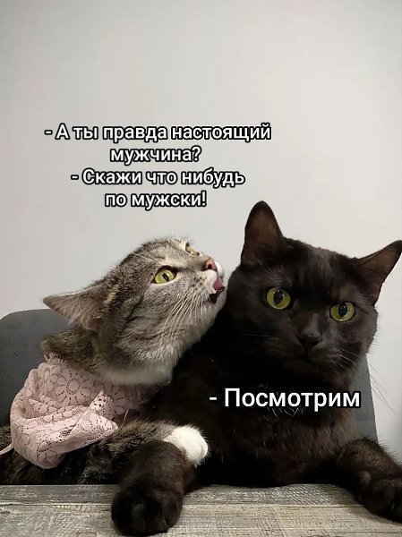 � ����... - 18 ������ 2025 � 14:08