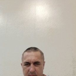 , 44, 