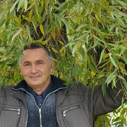 ���� ������, ���������, 69 ��� - ��������� 14 ������ 2026