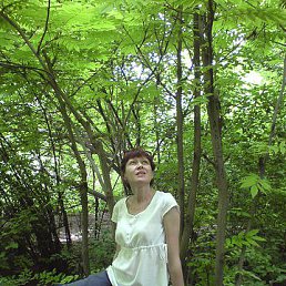  Olga, , 54  -  9  2024