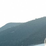 , 44 , 