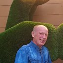  8, , 66  -  13  2025