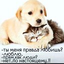 ���� ����, ������ �������� - ��������� 24 ������� 2026 � ������ ������ ��������