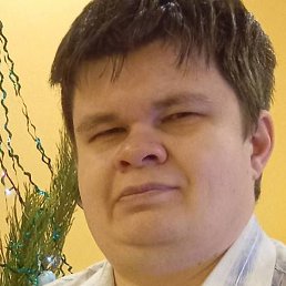 ����, ������, 41 ���