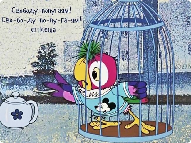     -,     .  ,  ... - 7