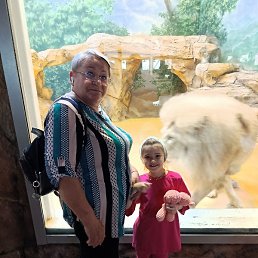 ���, ������, 66 ���