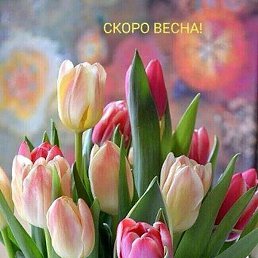 �����, �������, 39 ���