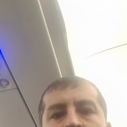 , 37, 