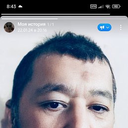 , 52, 
