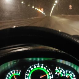 ������, ������, 41 ���