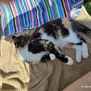 ���� ����, ������, 51 ��� - ��������� 13 ������� 2024 � ������ ���� ����������