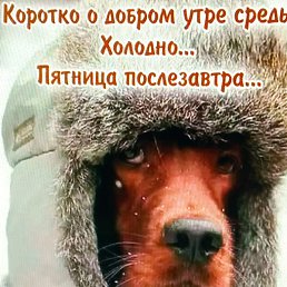 ����, ������