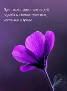   - 7  2025  10:07