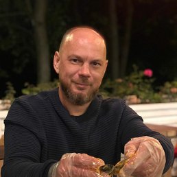 �������, 44 ����, �����