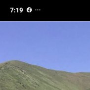 �����, 57 ���, ������