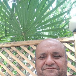 , 57, 