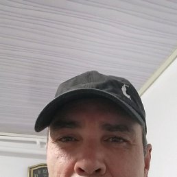 ������, �������, 49 ���