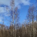 ���� V***, ���������, 57 ��� - ��������� 23 ������� 2026 � ������ �2026�