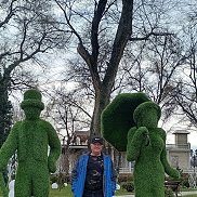  , 51 , -