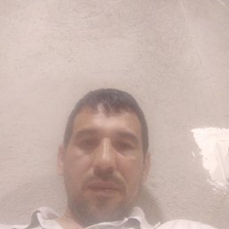 , 45, 