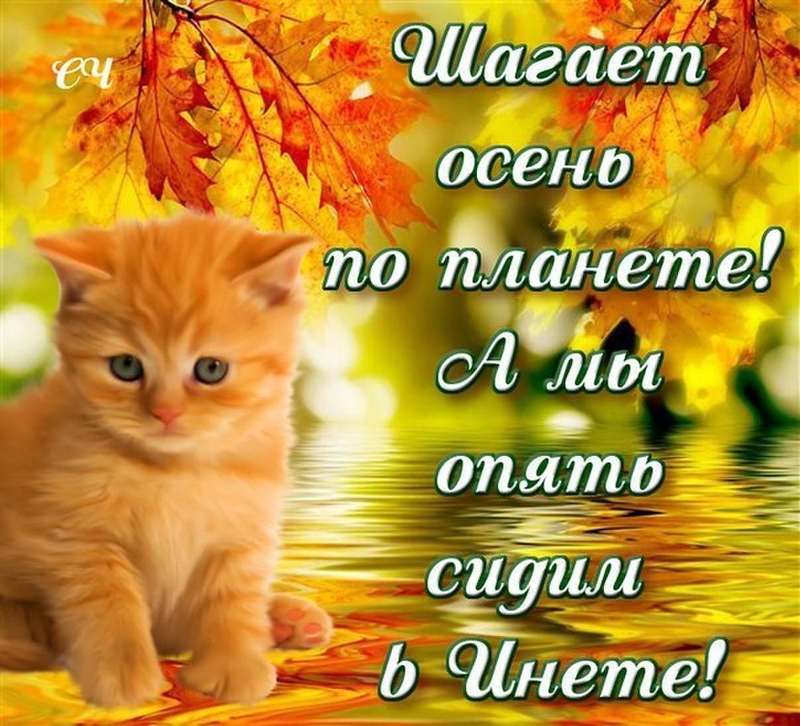   - 6  2025  14:46
