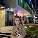 ���� ����, �����������, 28 ��� - ��������� 25 ������� 2024 � ������ ���� ����������